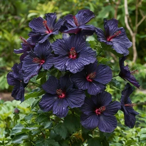 Гибискус Мэджик Момент купить по цене от 699р. в интернет-магазине «Посадика» с доставкой почтой в в Мамадыше и по всей России – [изображение №1].